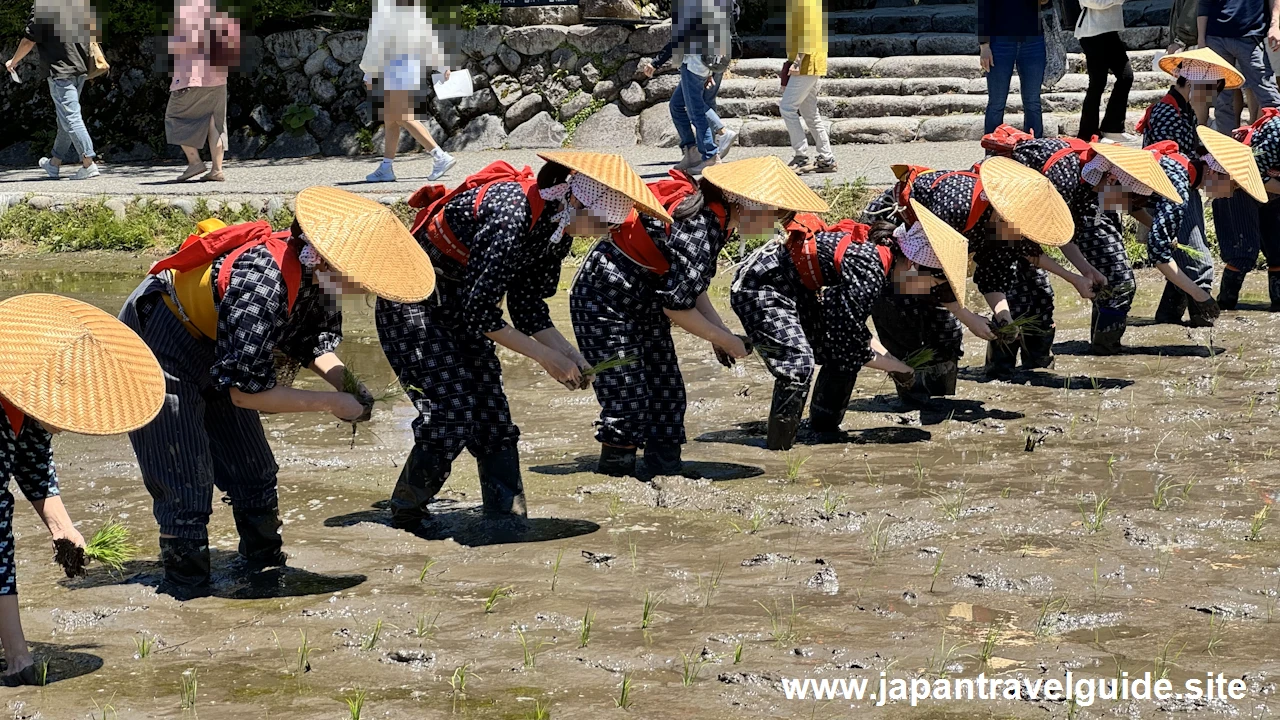 白川郷田植え祭り：白川郷の見どころ(8)