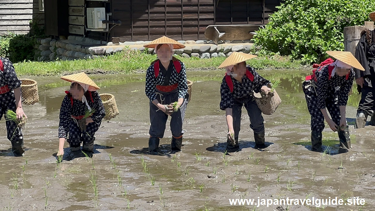 白川郷田植え祭り：白川郷の見どころ(9)