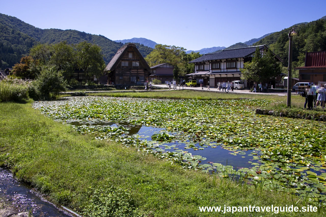 白川郷の景観：白川郷の見どころ(10)