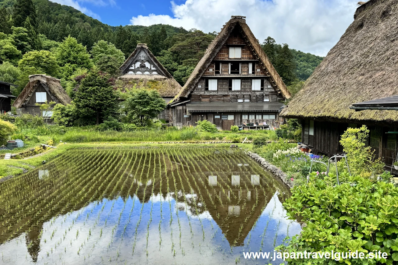 明善寺(本堂、鐘楼門、庫裏)：白川郷の見どころ(5)