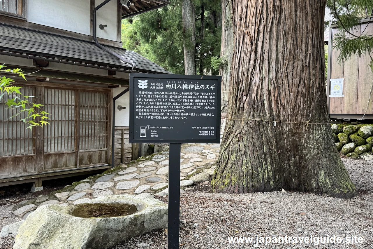 白川八幡神社：白川郷の見どころ(5)