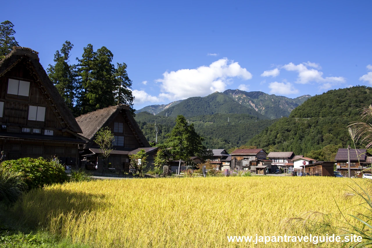 白川郷の景観：白川郷の見どころ(3)