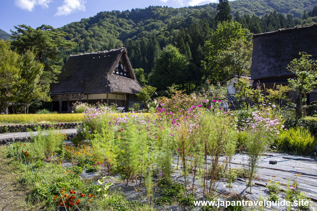 白川郷の景観：白川郷の見どころ(4)