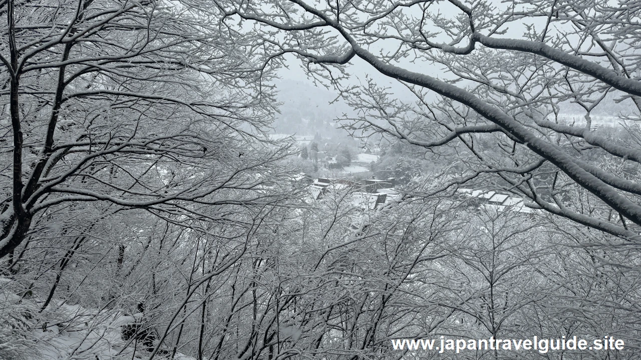 展望台：白川郷の雪景色の見どころ(3)