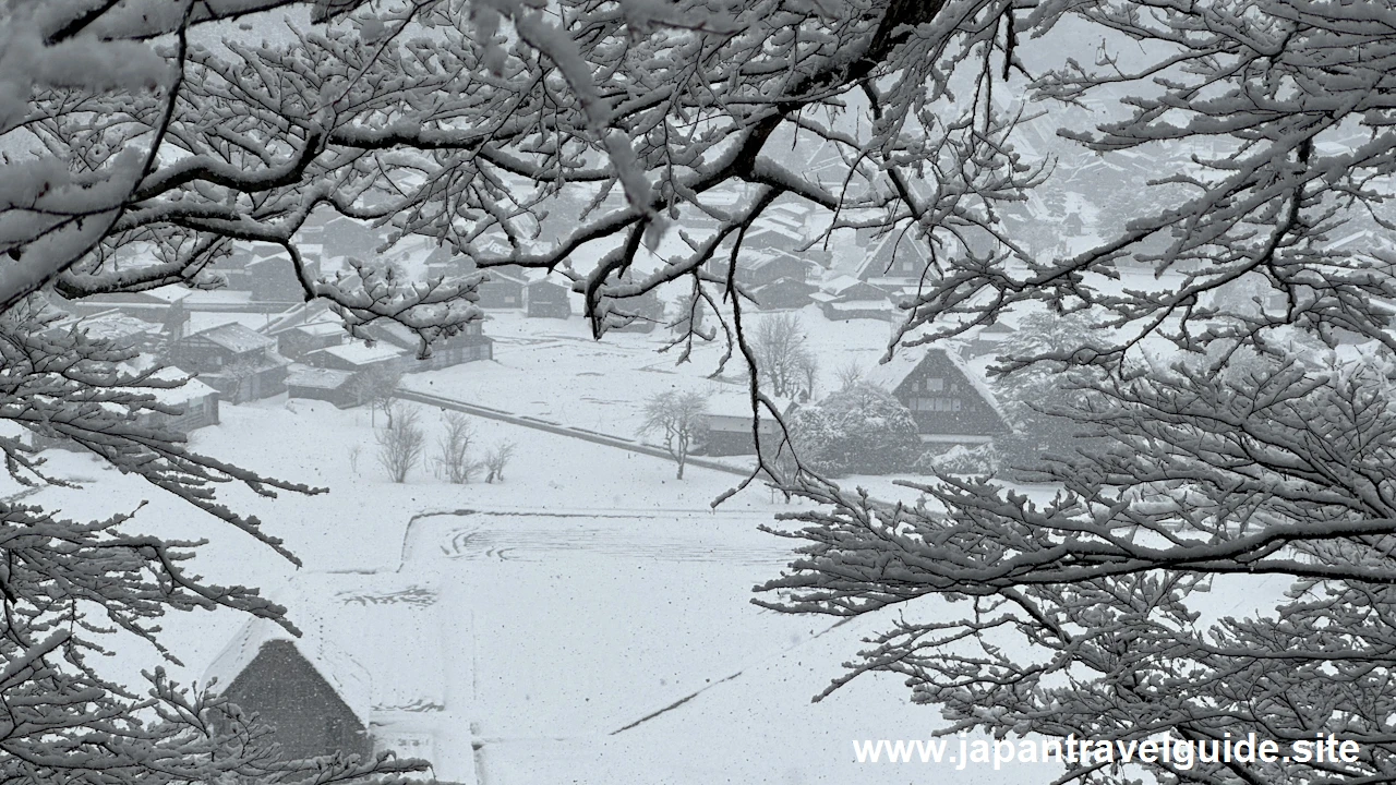 展望台：白川郷の雪景色の見どころ(4)