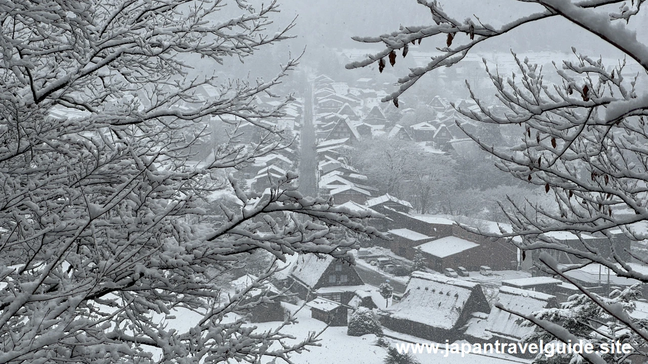 展望台：白川郷の雪景色の見どころ(5)