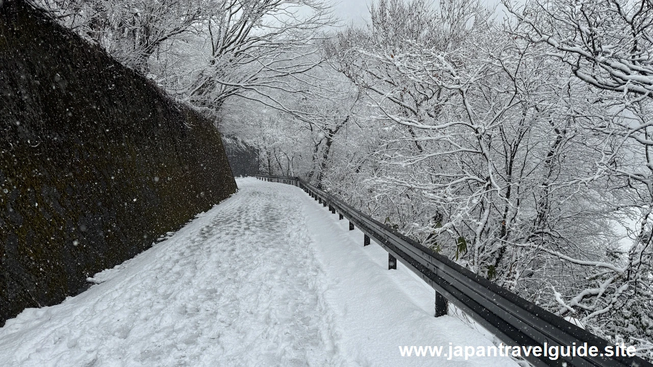 展望台：白川郷の雪景色の見どころ(17)