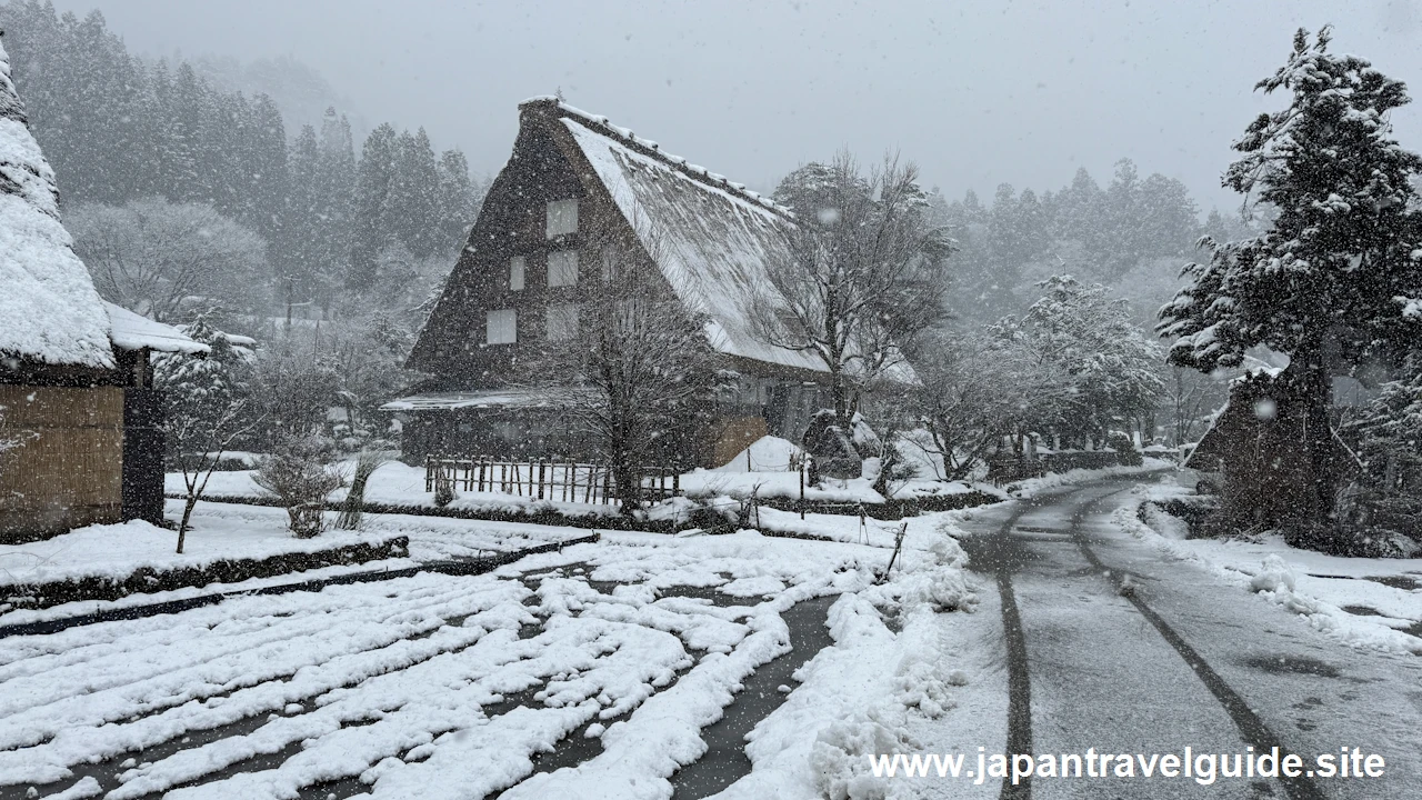 明善寺の雪景色：白川郷の雪景色の見どころ(12)