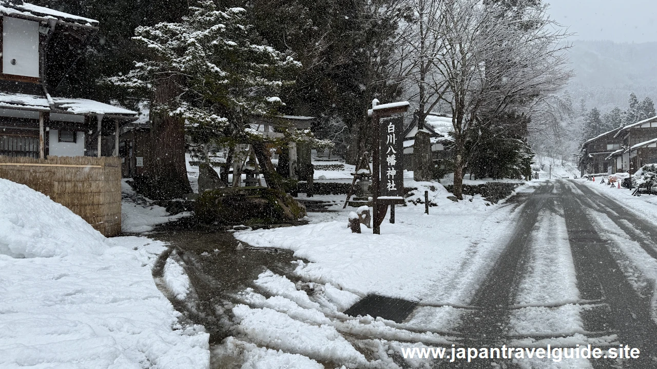 白川八幡神社の雪景色：白川郷の雪景色の見どころ(1)