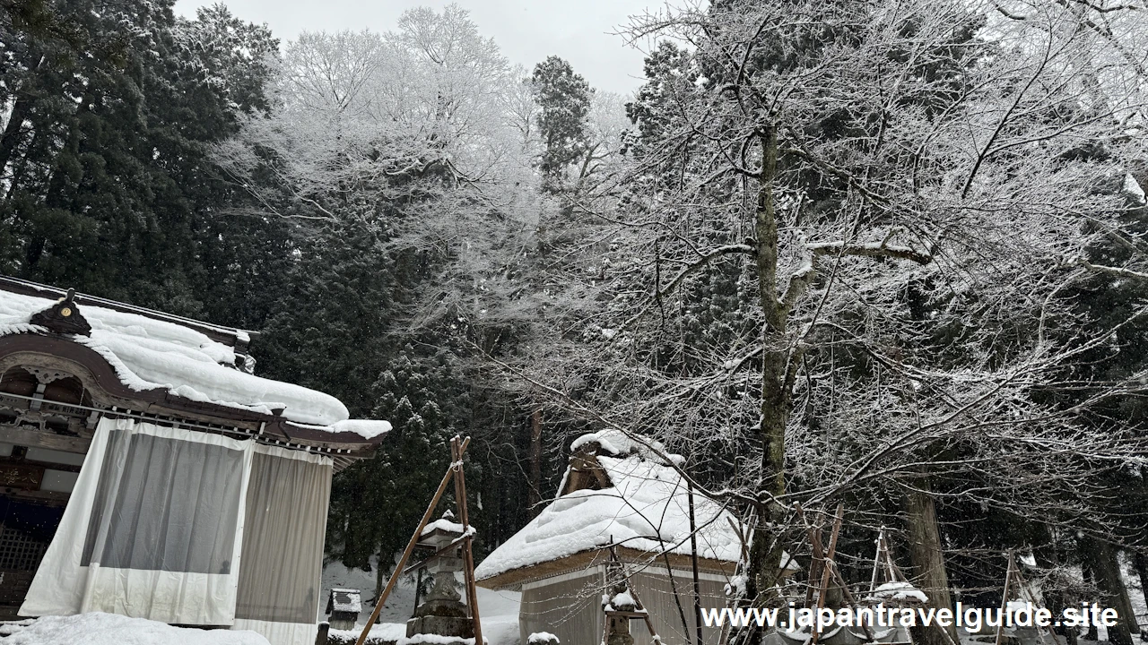 白川八幡神社の雪景色：白川郷の雪景色の見どころ(8)