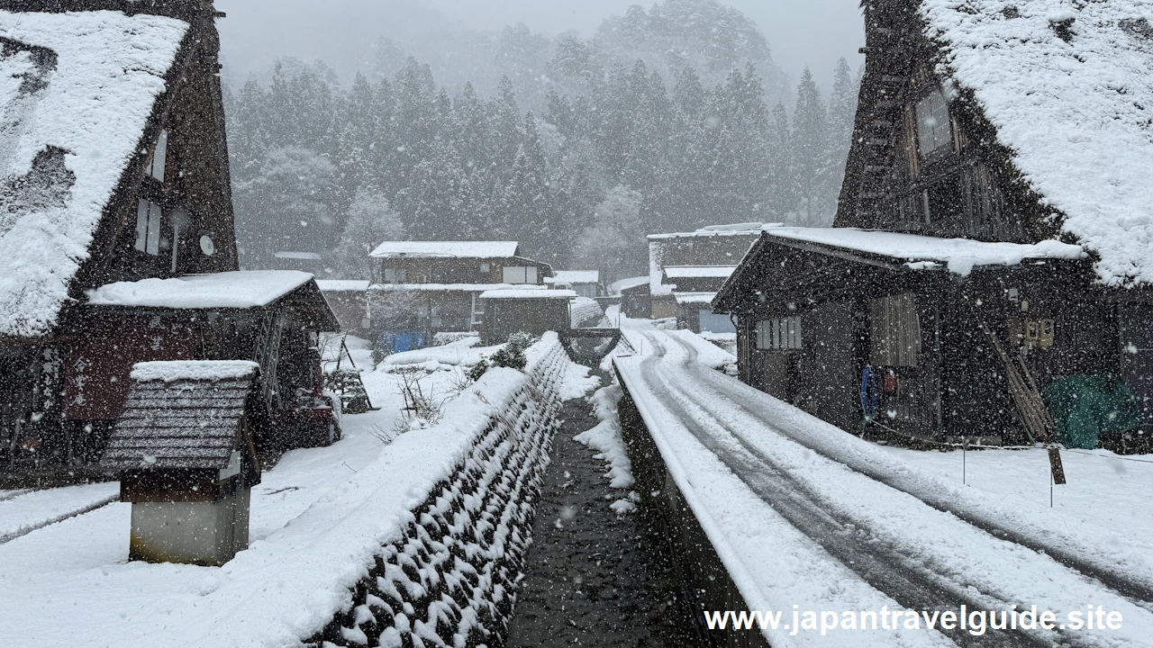 白川郷の街並み：白川郷の雪景色の見どころ(14)