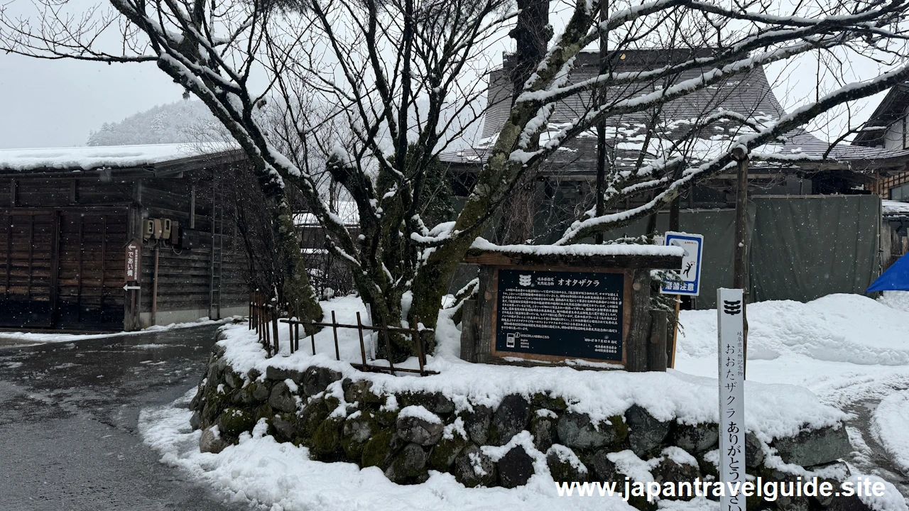 白川郷の街並み：白川郷の雪景色の見どころ(21)