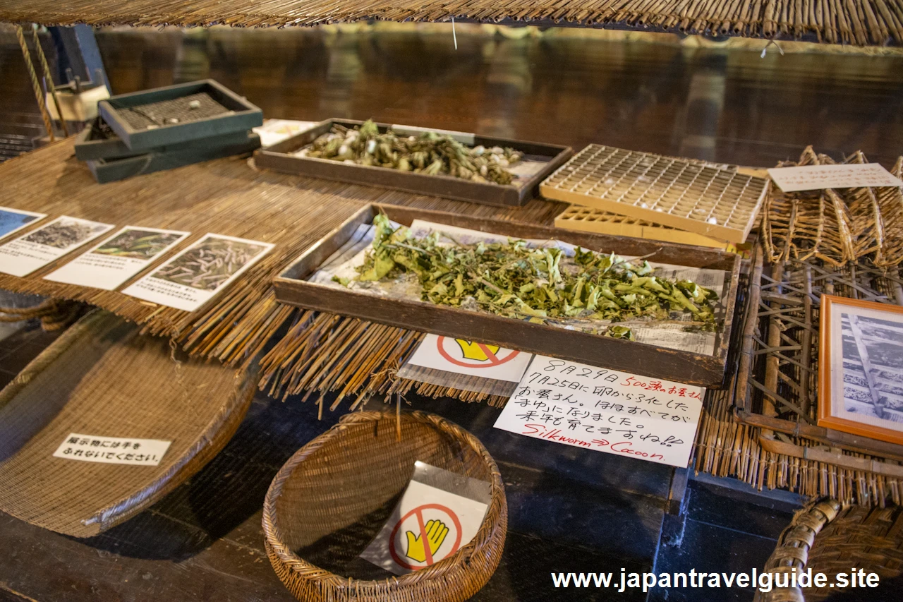 和田家の見どころ：和田家(白川郷)の見どころガイド(21)