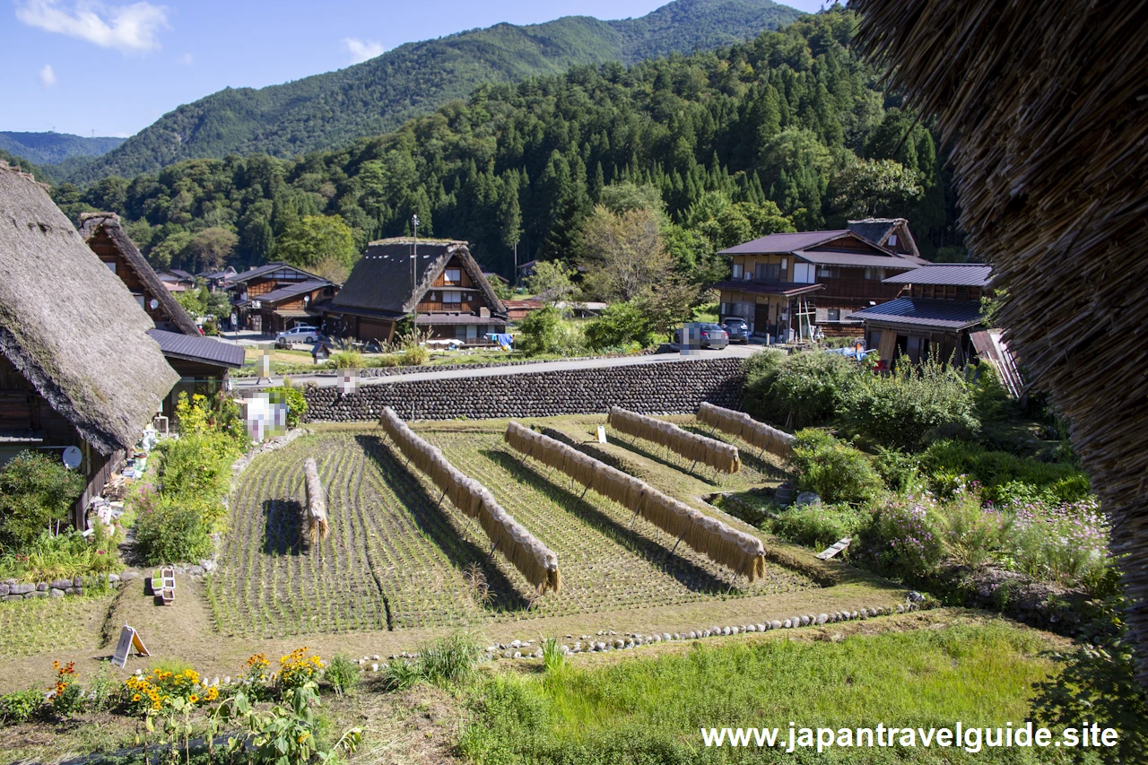 明善寺庫裏(郷土館)：明善寺庫裏(白川郷)の見どころガイド(24)