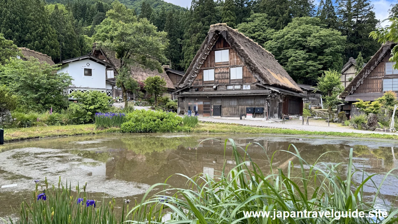 白川郷田植え祭りの見どころガイド(5)