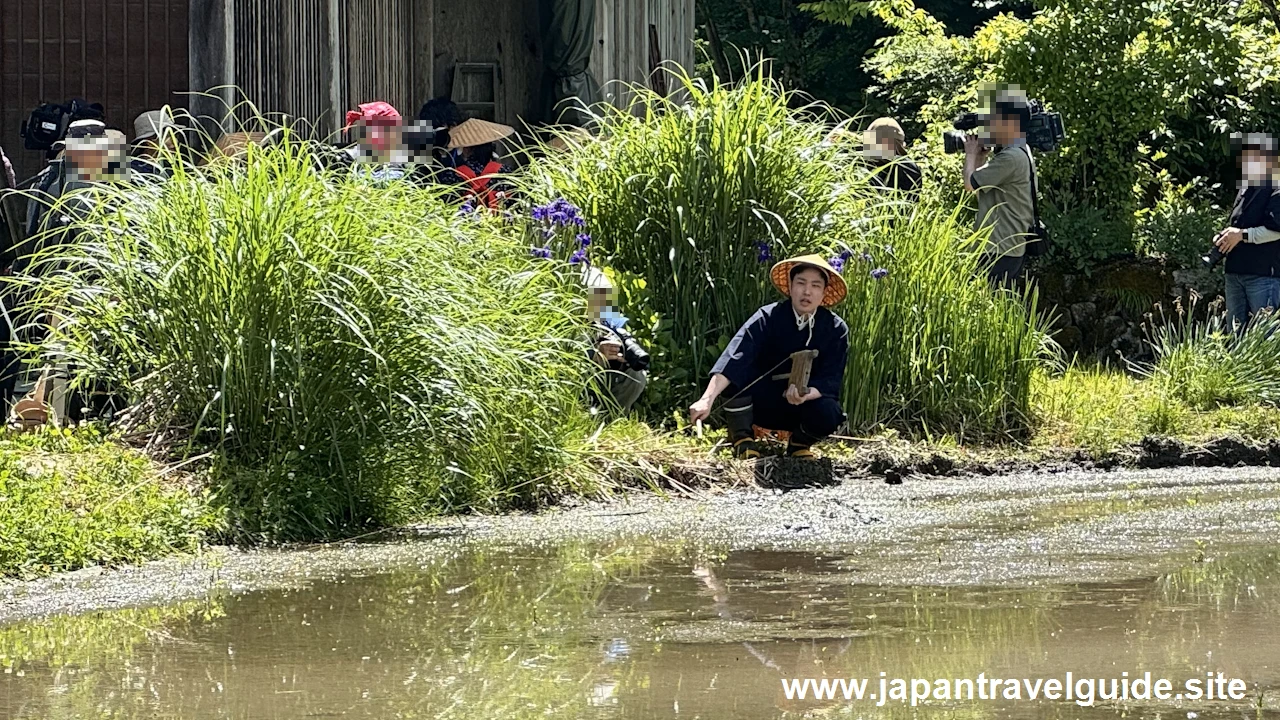 白川郷田植え祭りの見どころガイド(8)