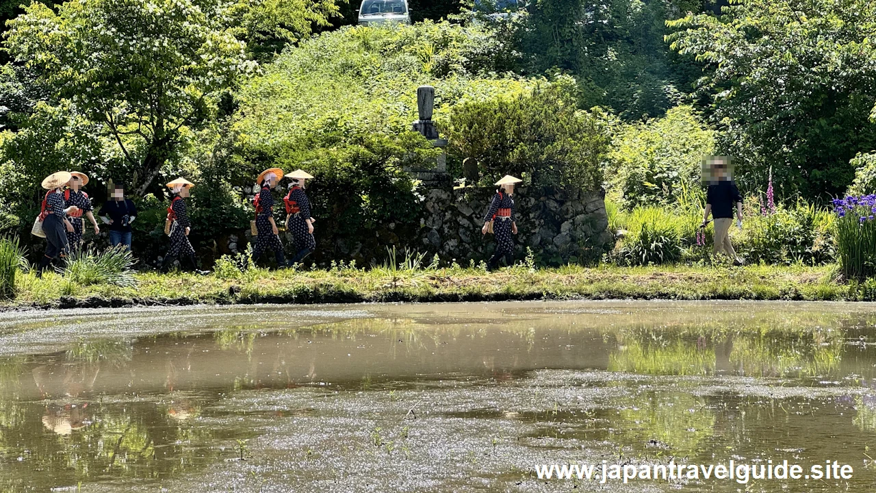 白川郷田植え祭りの見どころガイド(9)