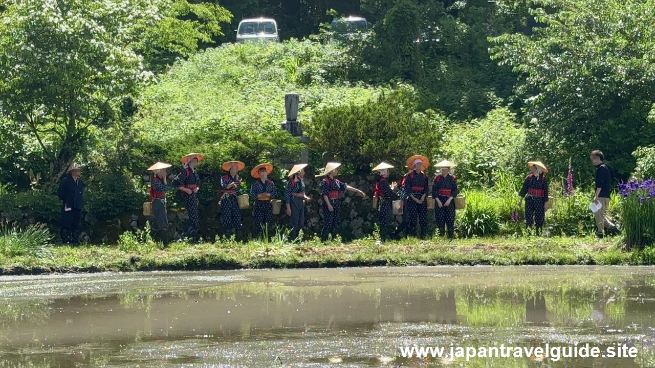 白川郷田植え祭りの見どころガイド(10)