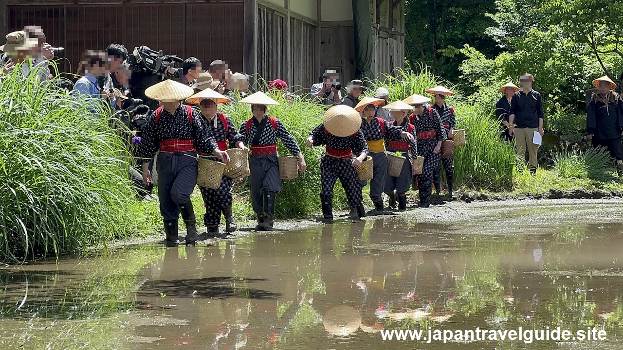 白川郷田植え祭りの見どころガイド(12)