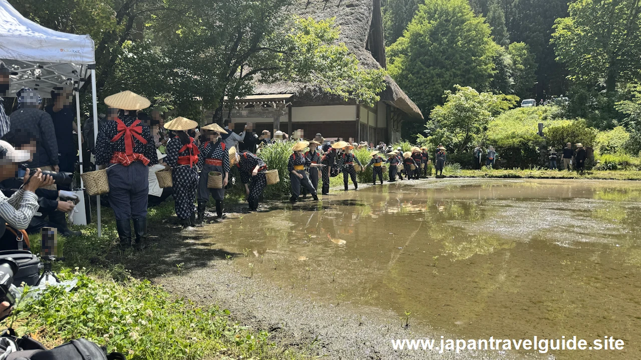 白川郷田植え祭りの見どころガイド(16)