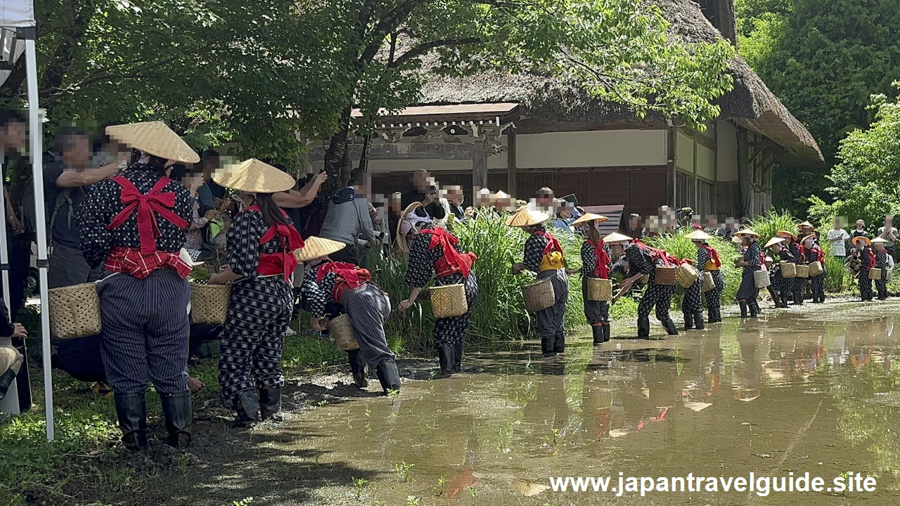 白川郷田植え祭りの見どころガイド(17)