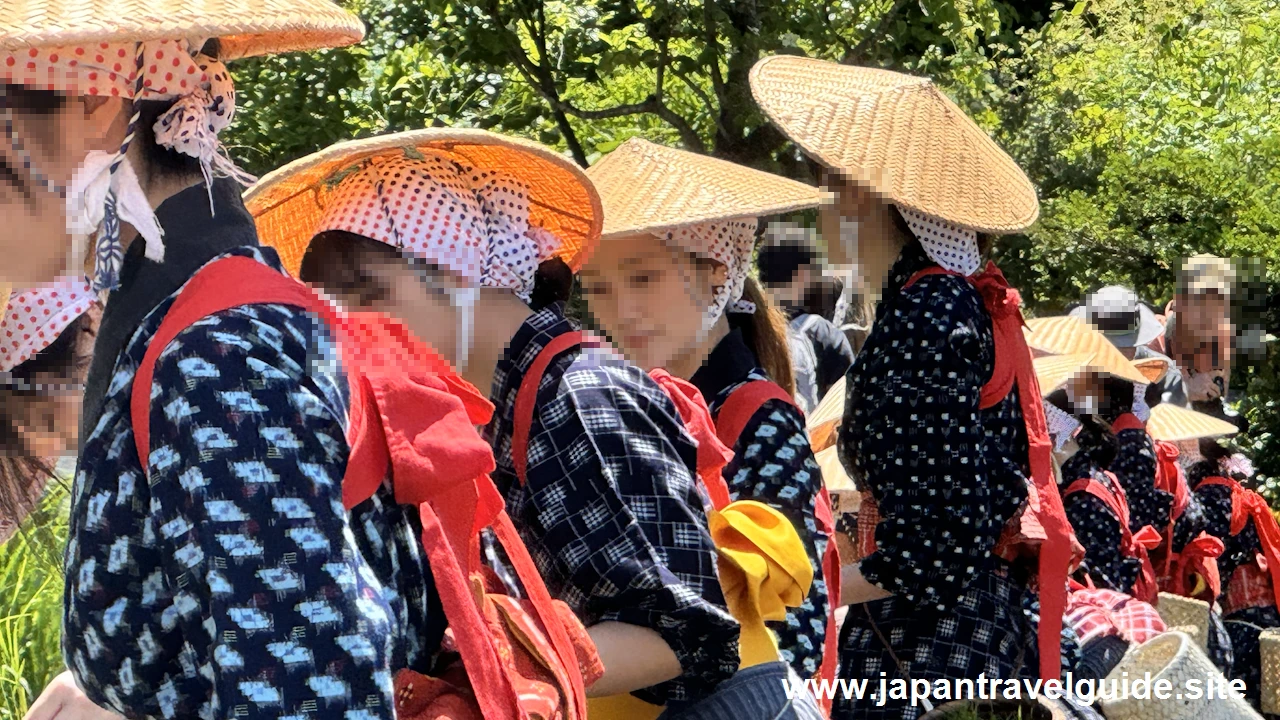 白川郷田植え祭りの見どころガイド(22)