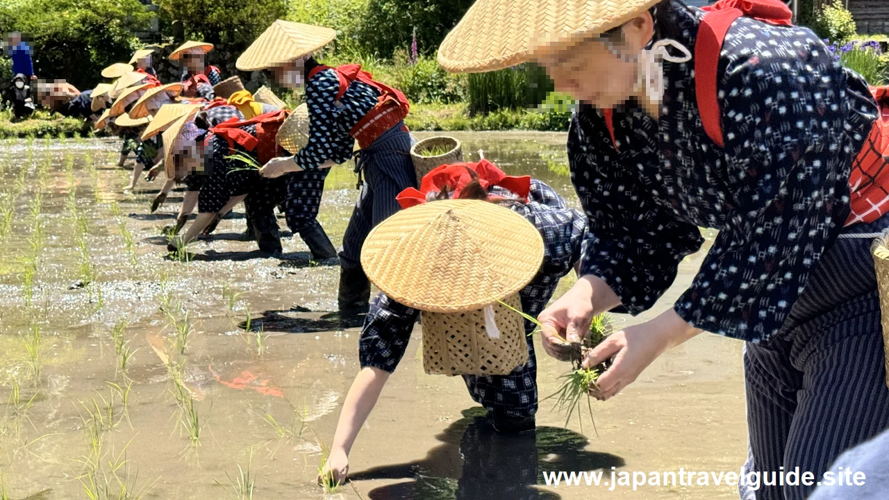 白川郷田植え祭りの見どころガイド(25)