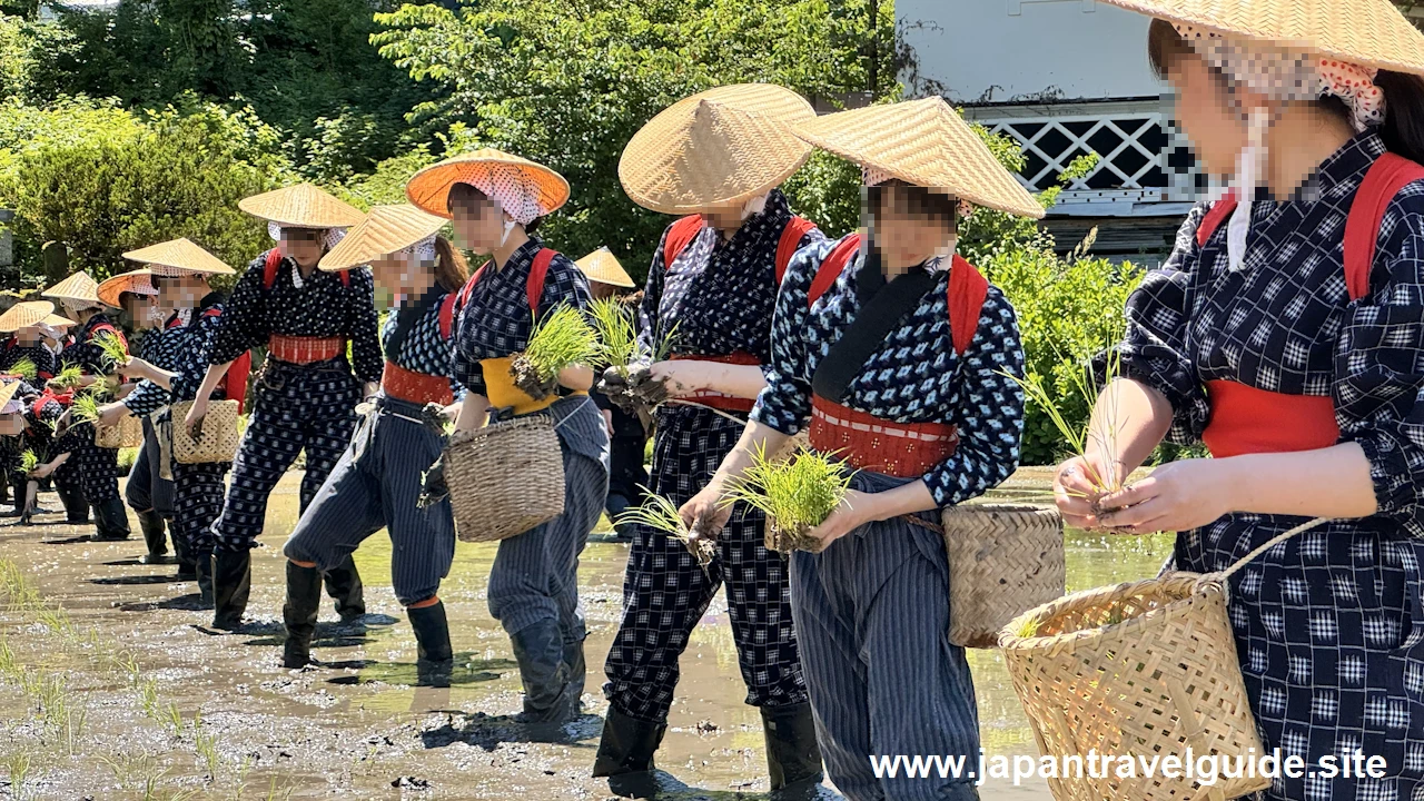 白川郷田植え祭りの見どころガイド(27)