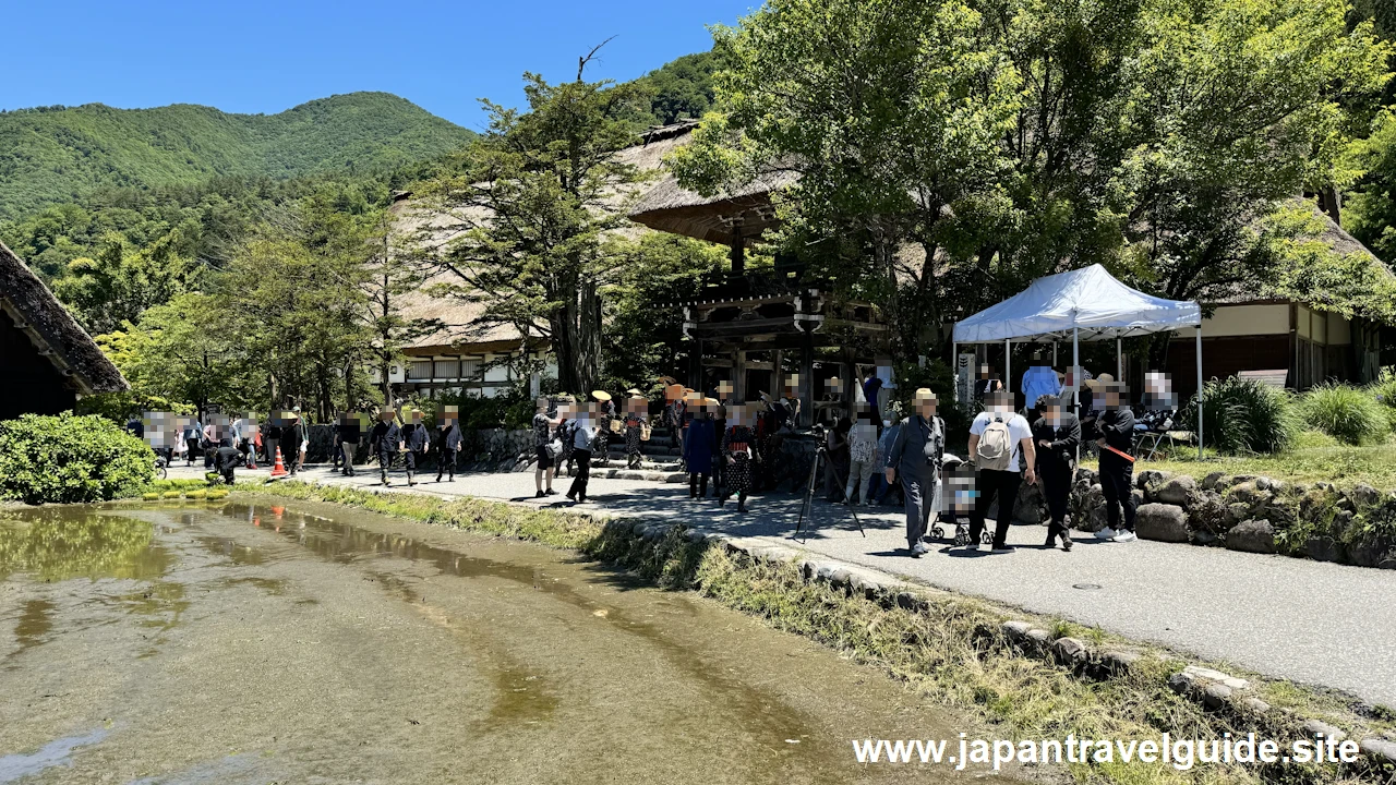 白川郷田植え祭りの見どころガイド(36)