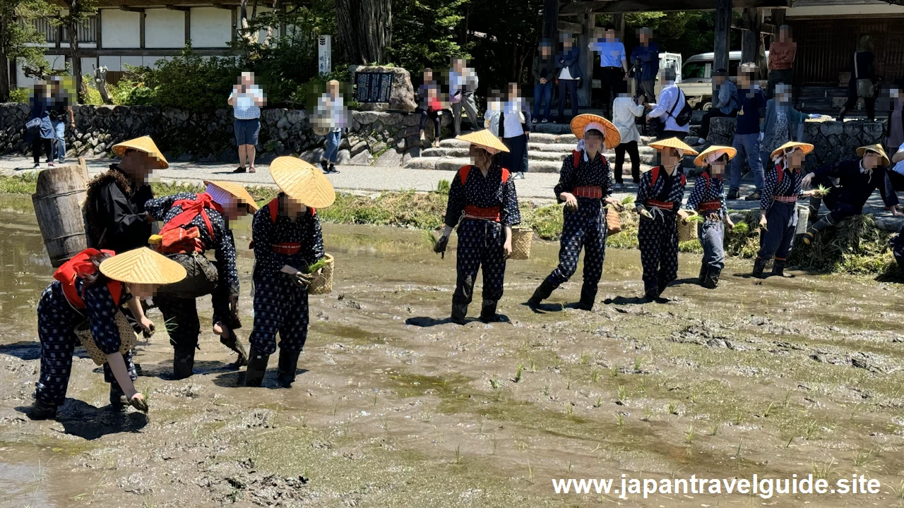 白川郷田植え祭りの見どころガイド(49)