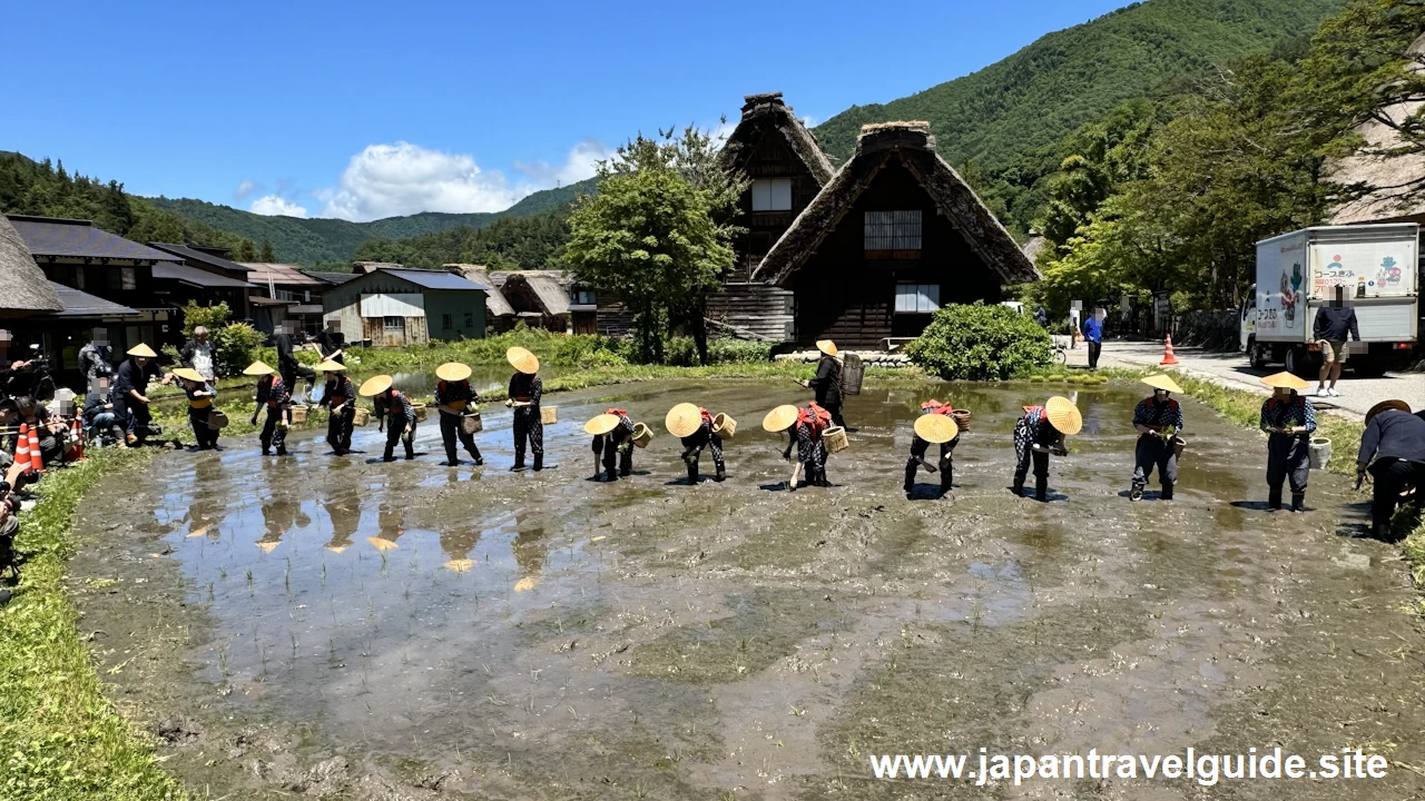 白川郷田植え祭りの見どころガイド(51)