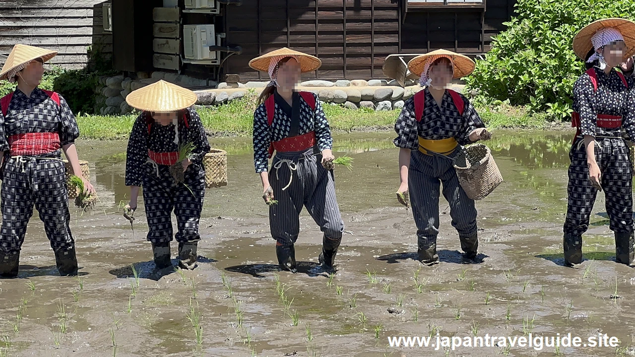 白川郷田植え祭りの見どころガイド(58)