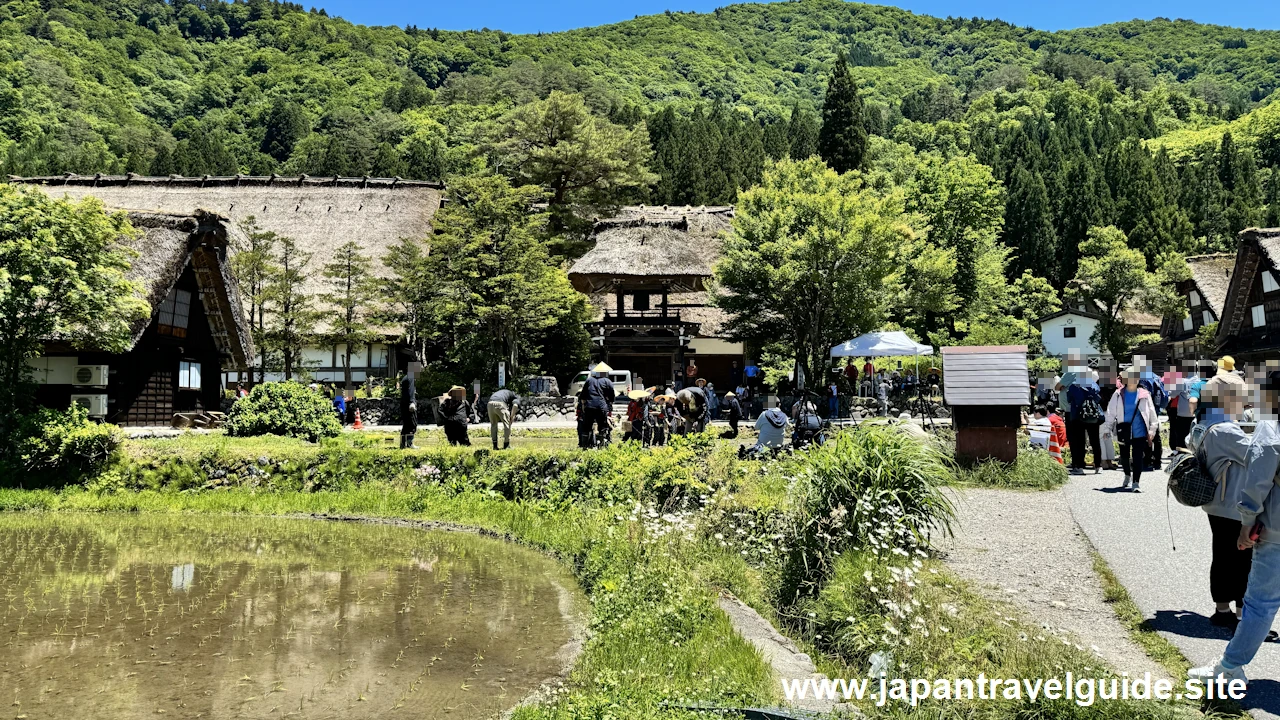 白川郷田植え祭りの見どころガイド(59)