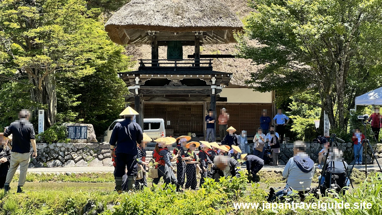 白川郷田植え祭りの見どころガイド(60)