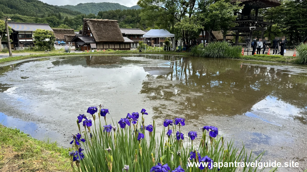 白川郷田植え祭りの見どころガイド(2)