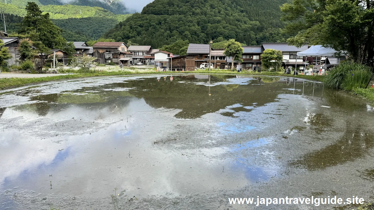 白川郷田植え祭りの見どころガイド(3)