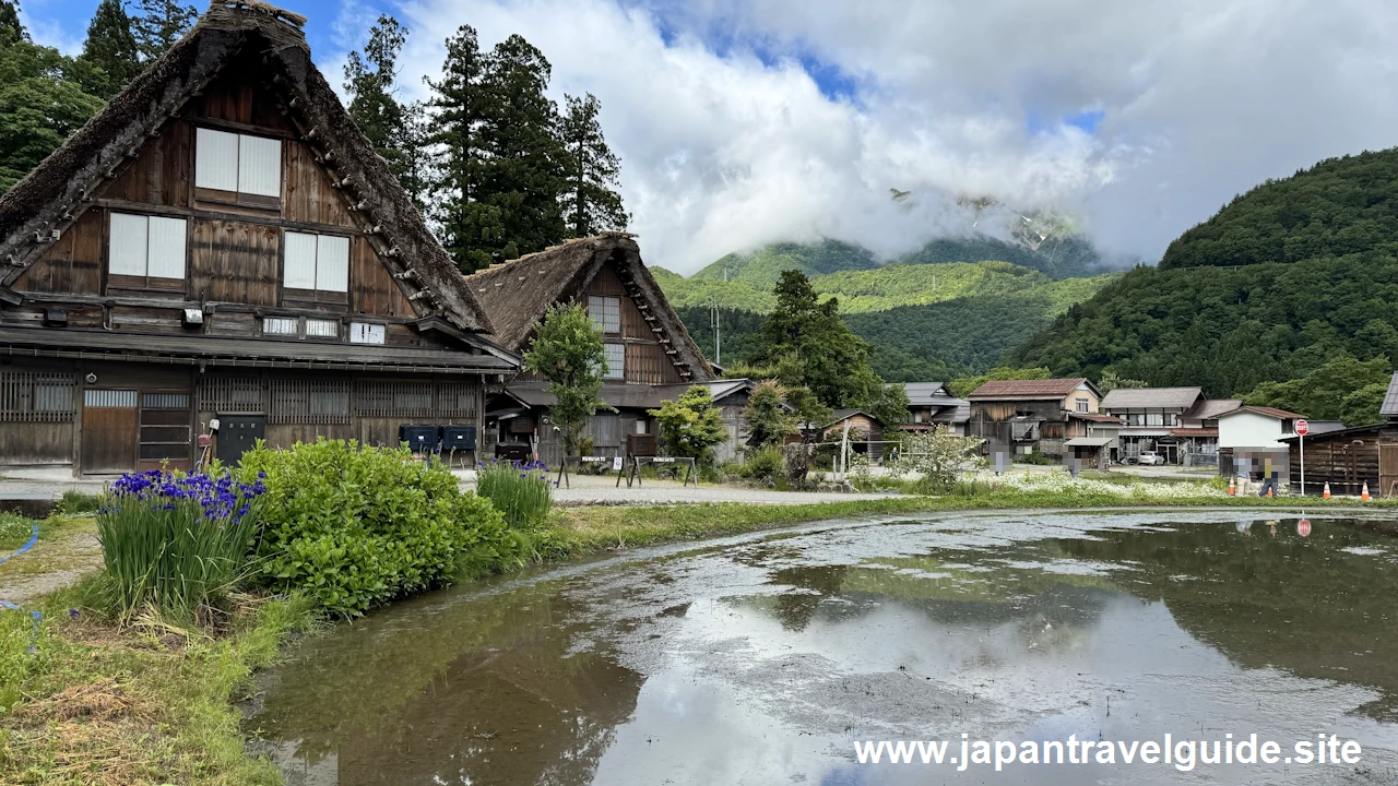 白川郷田植え祭りの見どころガイド(4)