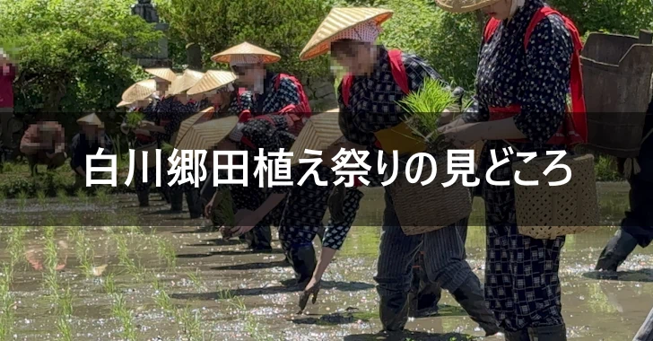 明善寺庫裏(白川郷)の見どころガイド(0)