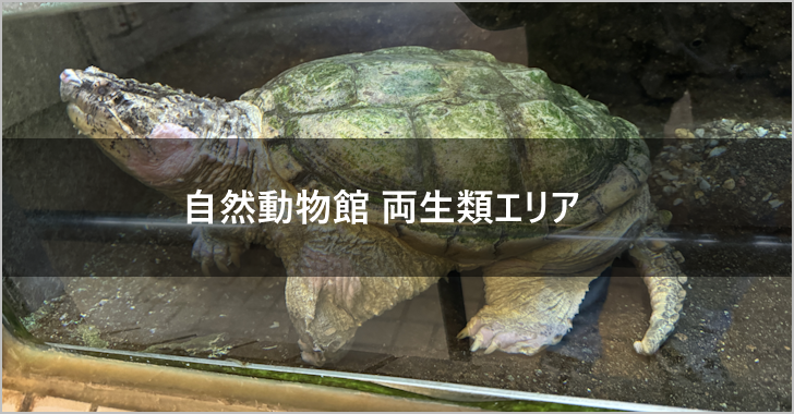 東山動植物園自然動物館プロムナード(0)