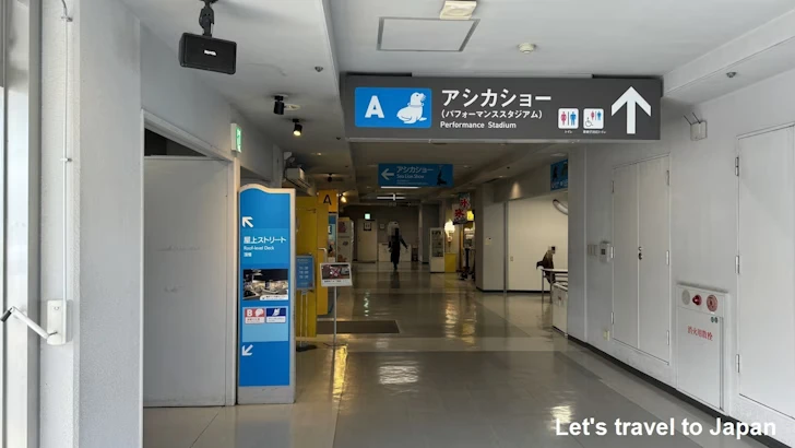 A:パフォーマンススタジアム：鳥羽水族館の見どころ(1)