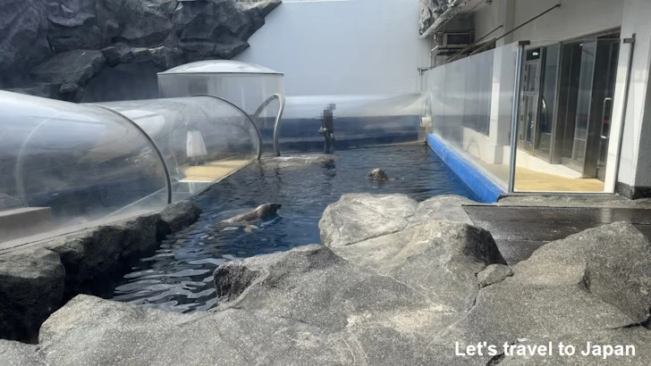 B:海獣の王国：鳥羽水族館の見どころ(2)