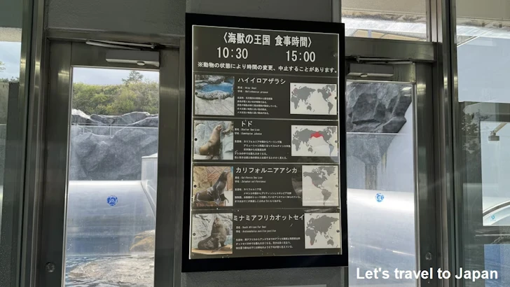 B:海獣の王国：鳥羽水族館の見どころ(9)