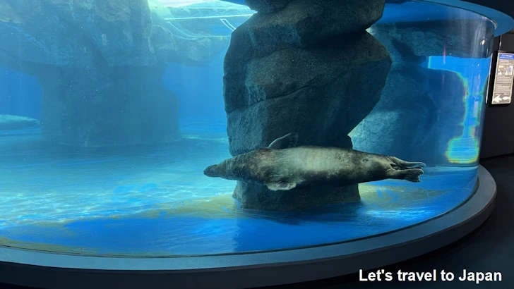 B:海獣の王国：鳥羽水族館の見どころ(13)