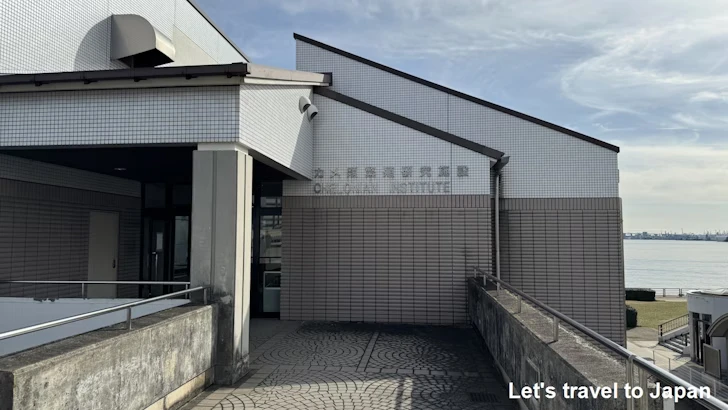 カメ類繁殖研究施設：名古屋港水族館の見どころ(3)