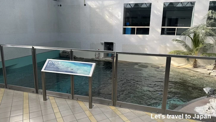 赤道の海３エリア：名古屋港水族館南館の見どころ(2)