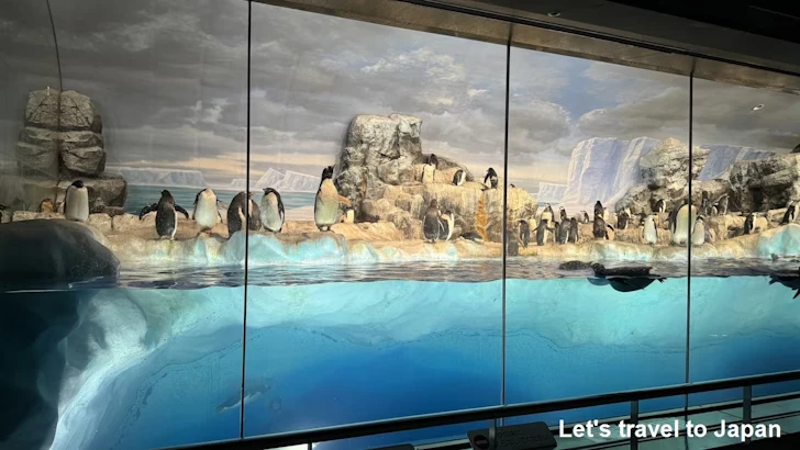 南極の海エリア：名古屋港水族館南館の見どころ(7)