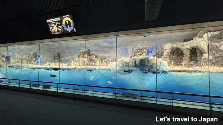 南極の海エリア：名古屋港水族館南館の見どころ(12)