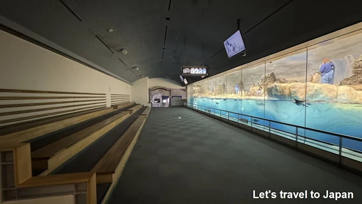 南極の海エリア：名古屋港水族館南館の見どころ(13)