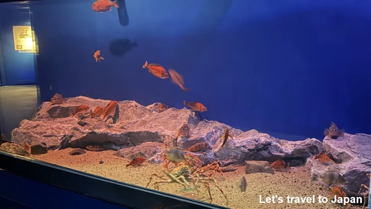 深海ギャラリーエリア：名古屋港水族館南館の見どころ(2)
