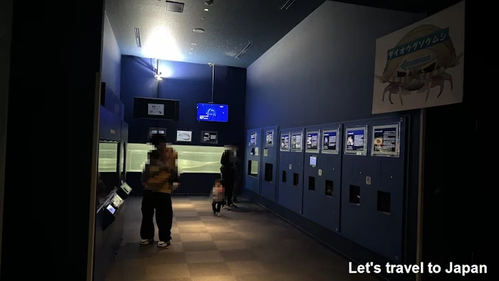 深海ギャラリーエリア：名古屋港水族館南館の見どころ(11)